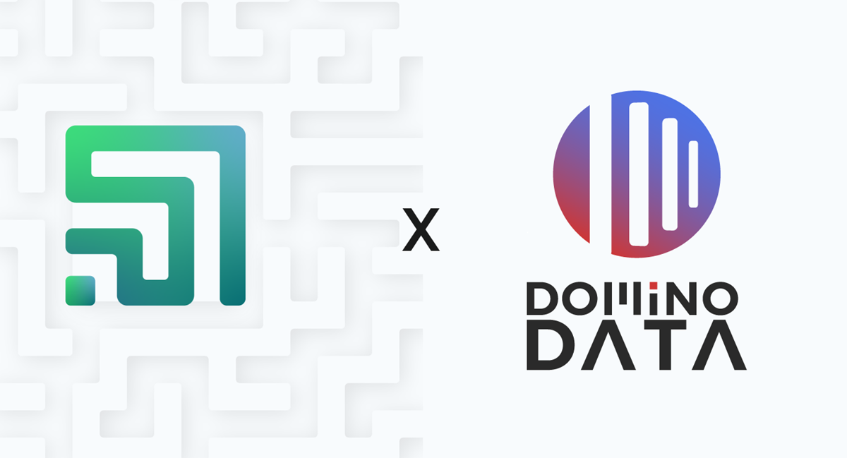 Domino Data Autoryzowanym Partnerem Labyrinth